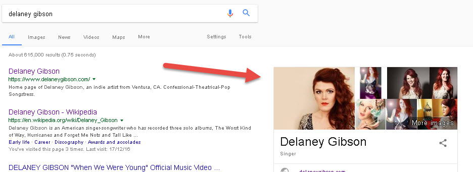 Delaney Gibson images in SERP