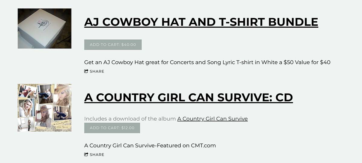 Bandzoogle Blog - How to design a great country band website - Merch Store