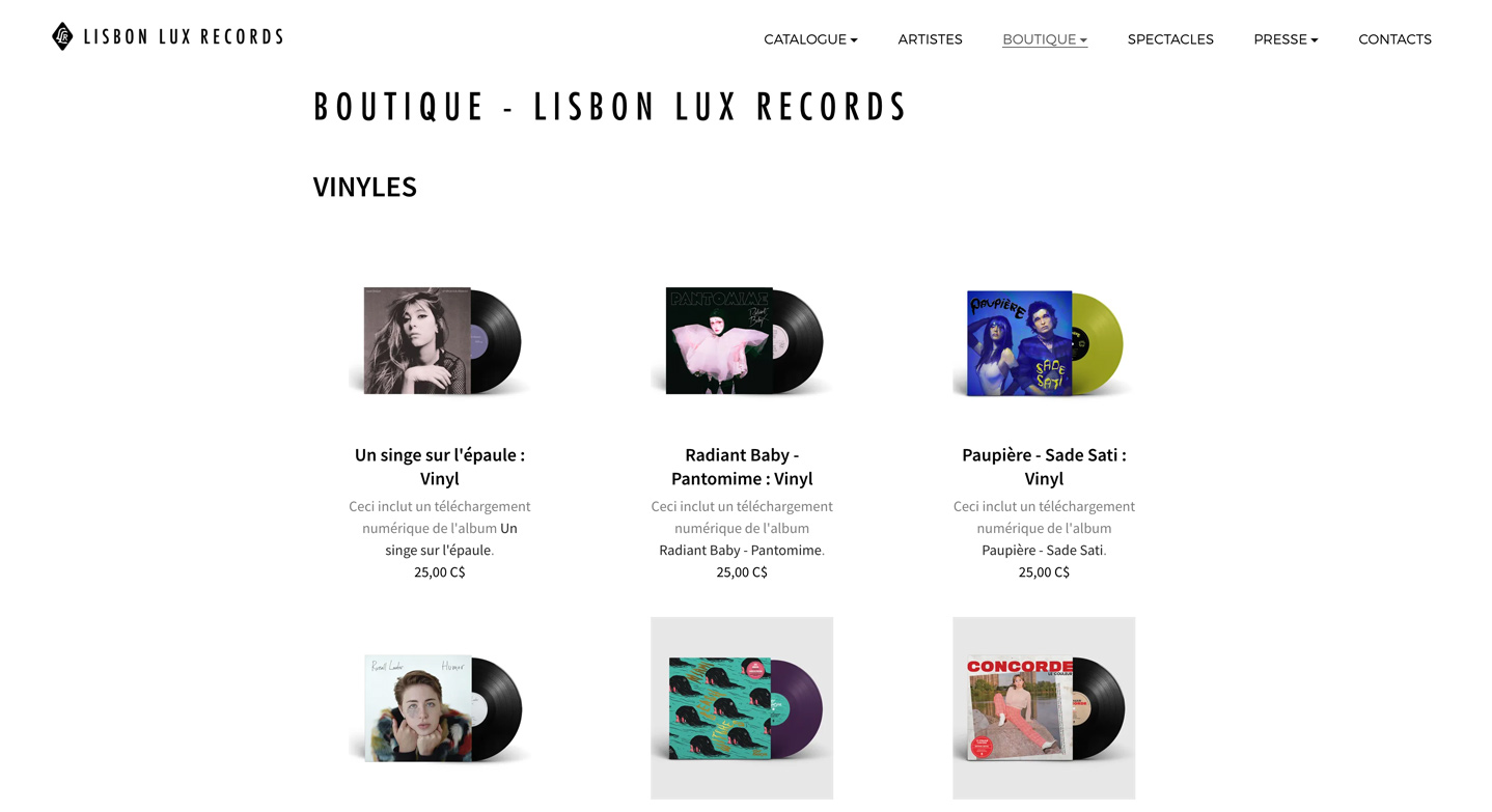 How to build a record label website - store 