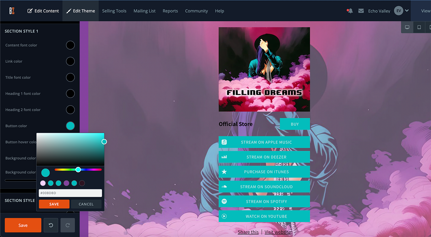 Screenshot of Bandzoogle Edit Theme tab where section styles are set