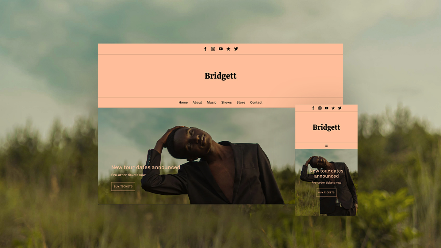 Bandzoogle's New Website Template: Amelia. Visual montage of the Elegant variant.
