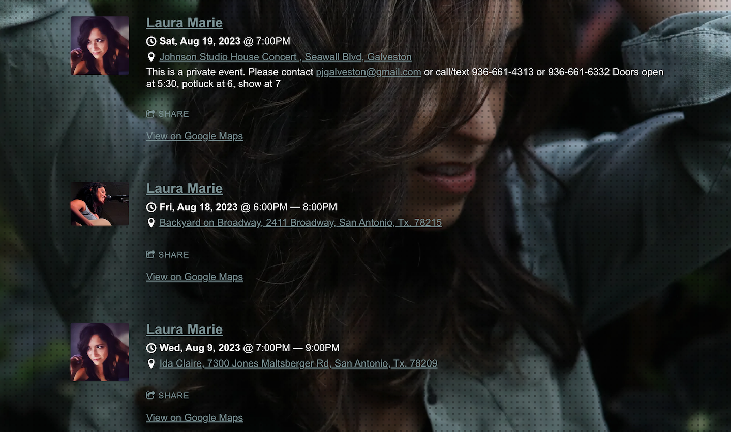 How to build a singer website: screenshot of artist Laura Marie's music website